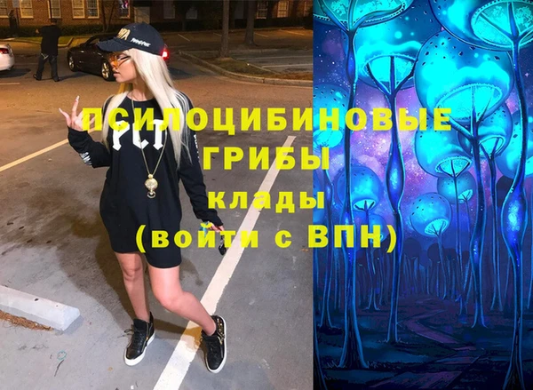 не бодяженный Алексин