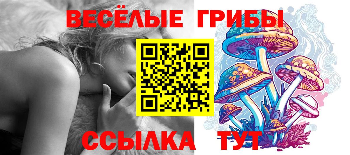 Глазов  Галлюциногенные грибы Psilocybine cubensis  Вход с VPN  купить наркоту  Галлюциногенные грибы MAGIC MUSHROOMS 